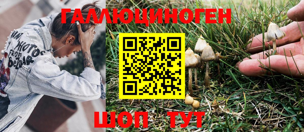 Галлюциногенные грибы Psilocybine cubensis  дарнет шоп  Зеленогорск  Вход с VPN 