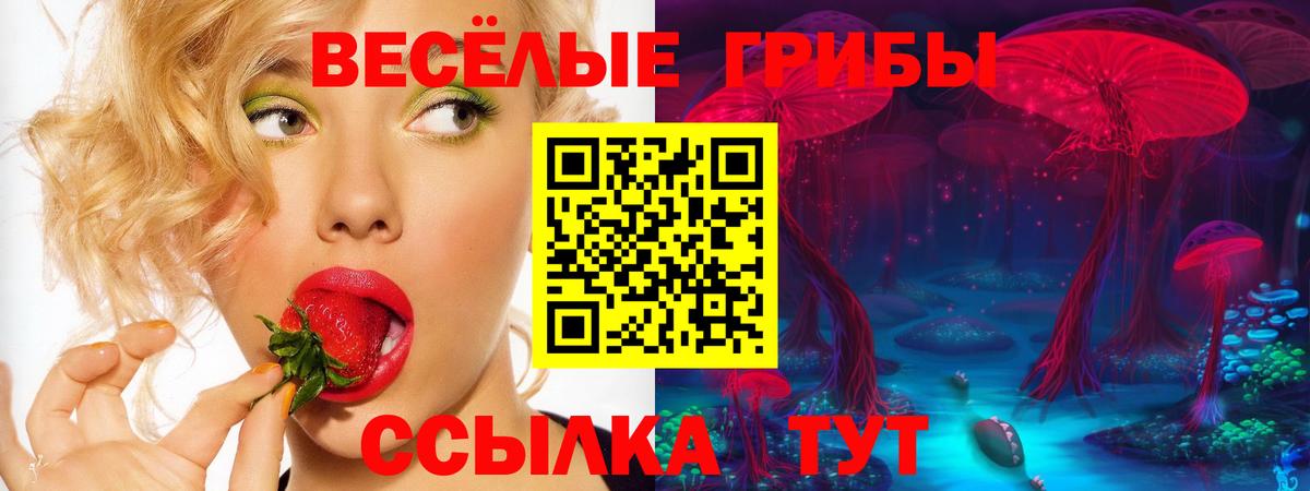 Галлюциногенные грибы GOLDEN TEACHER Зеленогорск